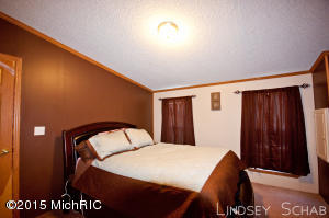 3755 E Shore Dr, Stanton, MI 48888 photo 19