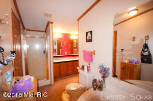 3755 E Shore Dr, Stanton, MI 48888 photo 23