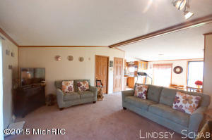 3755 E Shore Dr, Stanton, MI 48888 photo 8