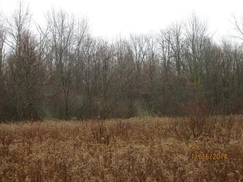 11507 E Pakes Rd, Crystal, MI 48818 photo 1