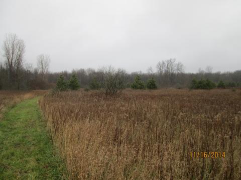11507 E Pakes Rd, Crystal, MI 48818 photo 2