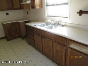 424 Forest St, Three Rivers, MI 49093 photo 4