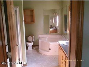 1408 E Deaner Rd, Edmore, MI 48829 photo 11