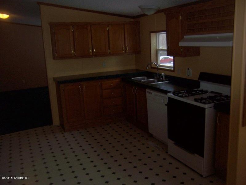 3784 East Shore Dr, Stanton, MI 48888 photo 5
