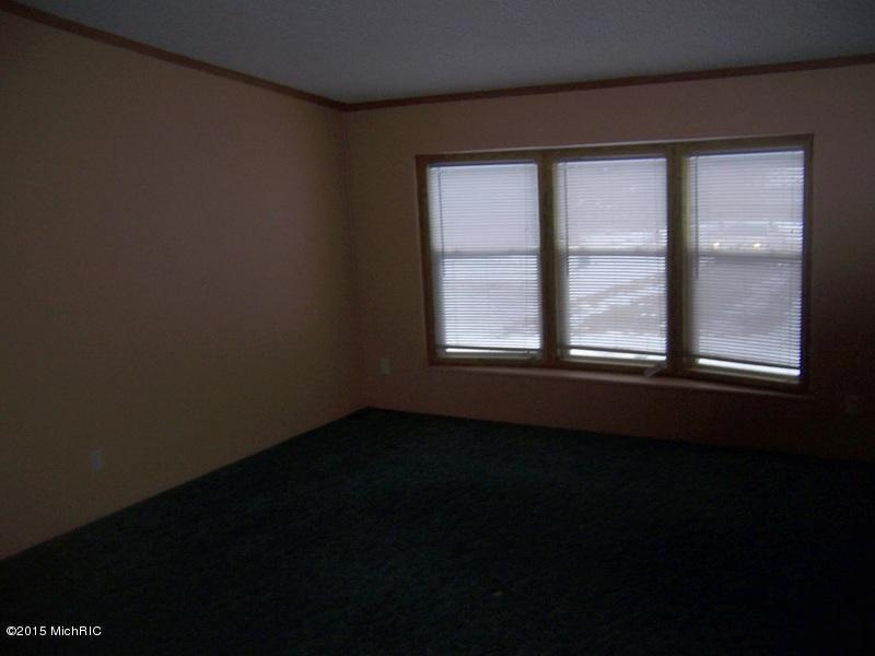 3784 East Shore Dr, Stanton, MI 48888 photo 4