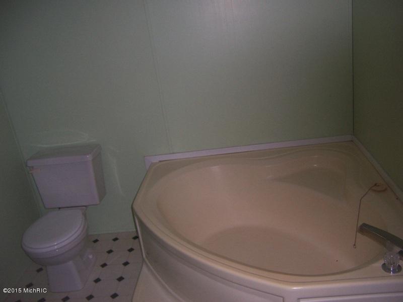 3784 East Shore Dr, Stanton, MI 48888 photo 7