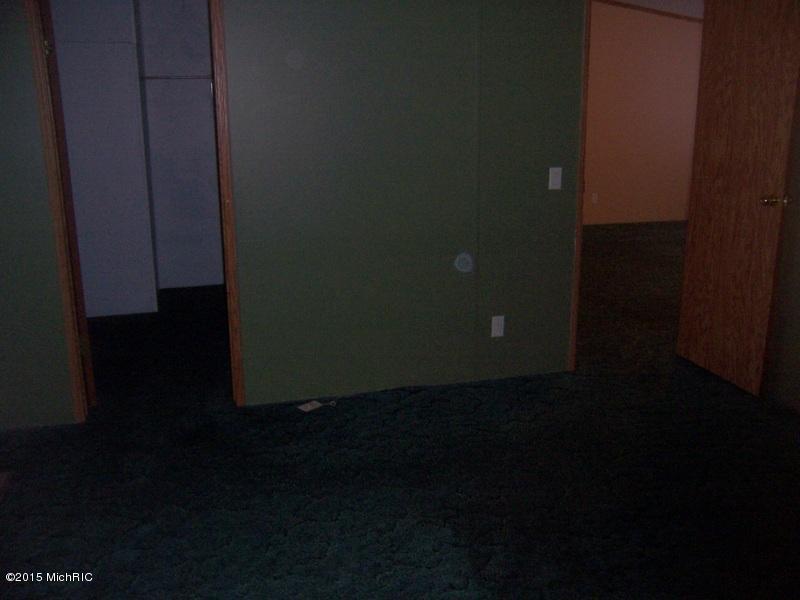 3784 East Shore Dr, Stanton, MI 48888 photo 8
