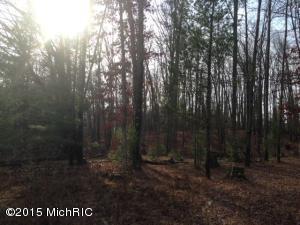 8308 E 1 Mile, White Cloud, MI 49349 photo 10