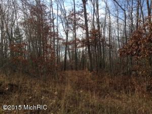 8308 E 1 Mile, White Cloud, MI 49349 photo 5