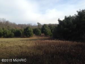 8308 E 1 Mile, White Cloud, MI 49349 photo 18
