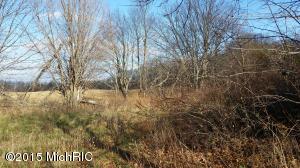 2422 S Kintner Rd, Custer, MI 49405 photo 20