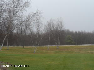 14100 Fedore Rd, Buchanan, MI 49107 photo 26