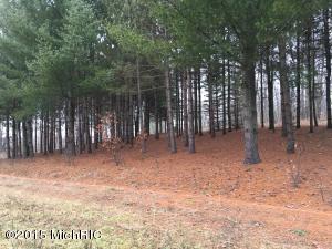 8574 E 40th Ave, Chase, MI 49623 photo 8