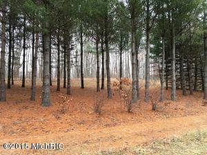 8574 E 40th Ave, Chase, MI 49623 photo 9