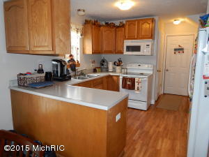 1118 Krum Ave, Three Rivers, MI 49093 photo 7