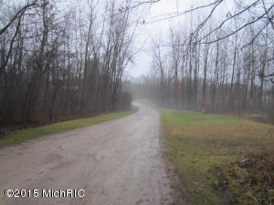 910 E 128th St, Grant, MI 49327 photo 39