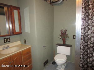 910 E 128th St, Grant, MI 49327 photo 29