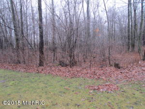 910 E 128th St, Grant, MI 49327 photo 6