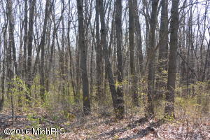15121 N Main St, Buchanan, MI 49107 photo 6
