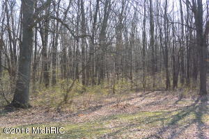 15121 N Main St, Buchanan, MI 49107 photo 22