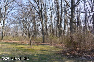 15121 N Main St, Buchanan, MI 49107 photo 5