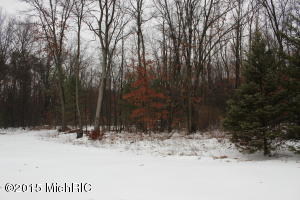 4295 E 104th St, Grant, MI 49327 photo 21