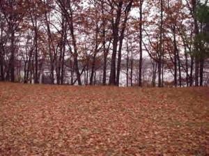5339 W Lakeview Dr, Pentwater, MI 49449 photo 16