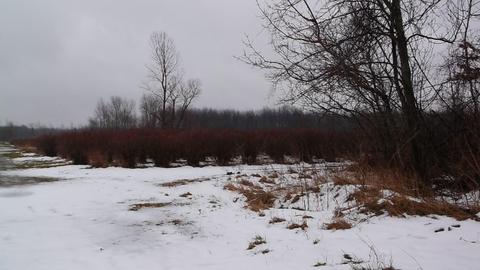35961 70th, Covert, MI 49043 photo 3