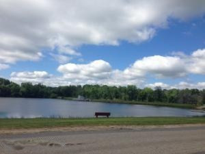 1413 James St, White Cloud, MI 49349 photo 54