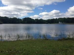 1413 James St, White Cloud, MI 49349 photo 57