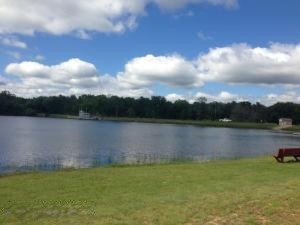 1413 James St, White Cloud, MI 49349 photo 56