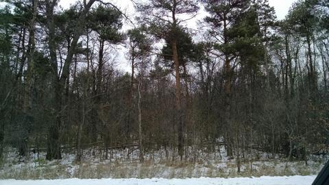 140 Th Ave, Dorr, MI 49323 photo 1