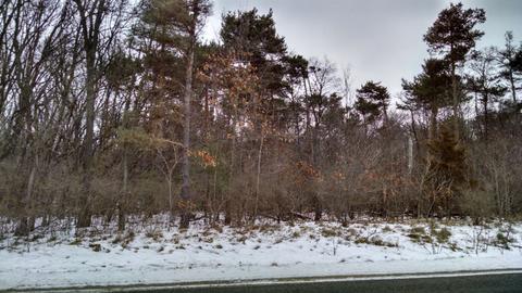 140 Th Ave, Dorr, MI 49323 photo 3