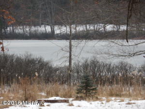 1174 W Echo Dr, White Cloud, MI 49349 photo 6