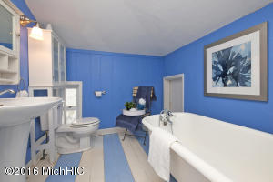 225 Colfax St, Plainwell, MI 49080 photo 22