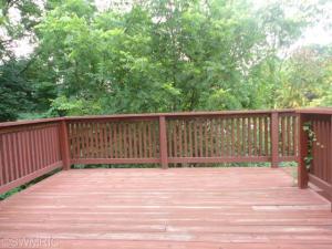 203 E Lytle St, Ionia, MI 48846 photo 16