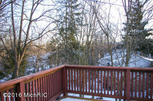 203 E Lytle St, Ionia, MI 48846 photo 17
