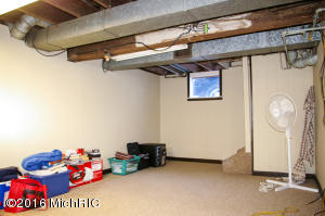 203 E Lytle St, Ionia, MI 48846 photo 21