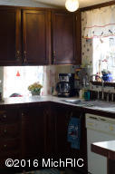 3633 S Spruce Ave, White Cloud, MI 49349 photo 5
