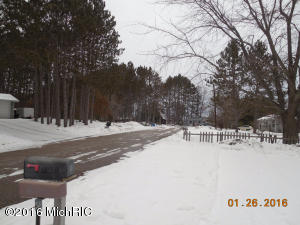 320 Pine Tree Dr, Farwell, MI 48622 photo 10