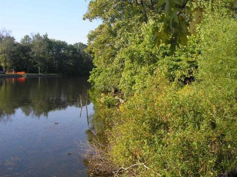 14325 Jeremy Rd, Constantine, MI 49042 photo 1