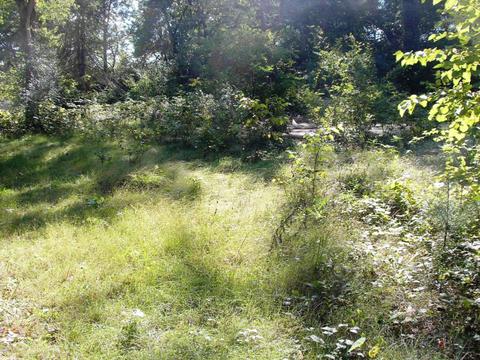 14325 Jeremy Rd, Constantine, MI 49042 photo 3