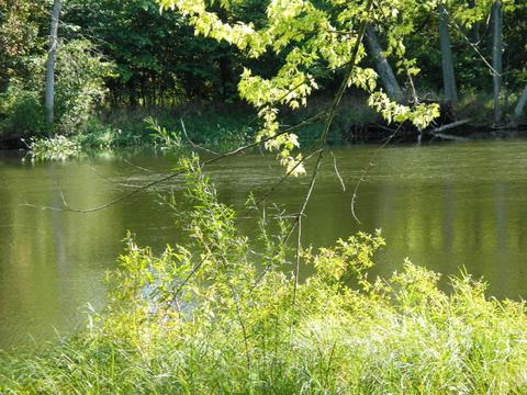 14325 Jeremy Rd, Constantine, MI 49042 photo 6
