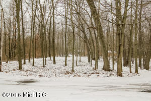 470 N Whites Bridge Rd, Belding, MI 48809 photo 37