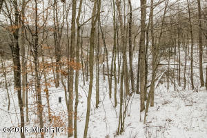 470 N Whites Bridge Rd, Belding, MI 48809 photo 38