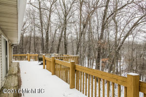 470 N Whites Bridge Rd, Belding, MI 48809 photo 33
