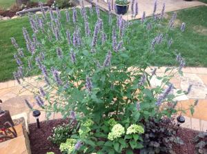 48888 W Main St, Lawrence, MI 49064 photo 34