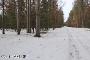 5877 W 52nd St, Baldwin, MI 49304 photo 17
