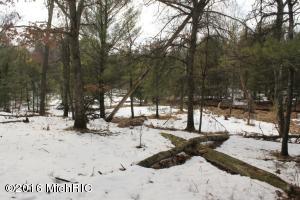 5877 W 52nd St, Baldwin, MI 49304 photo 28