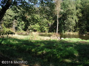 249 River Pine Dr, Lowell, MI 49331 photo 23